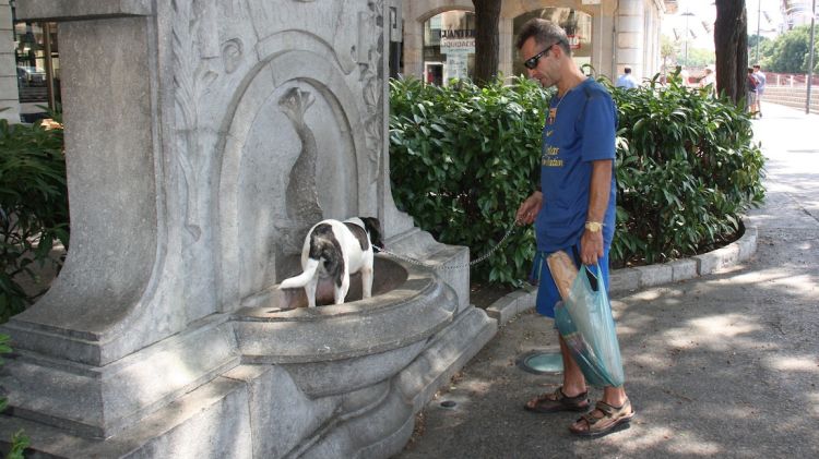 Un gos es refresca en una font de Girona aquest diumenge al migdia © ACN