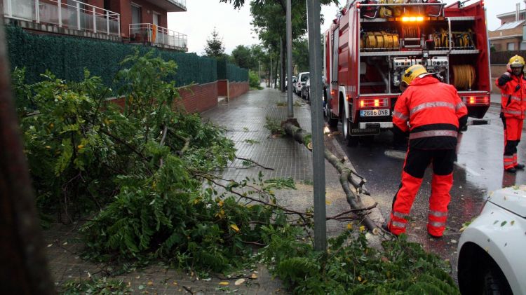 Els Bombers de Vic actuen al barri de Sant Llàtzer després que la pluja hagi fet caure uns arbres del carrer © ACN