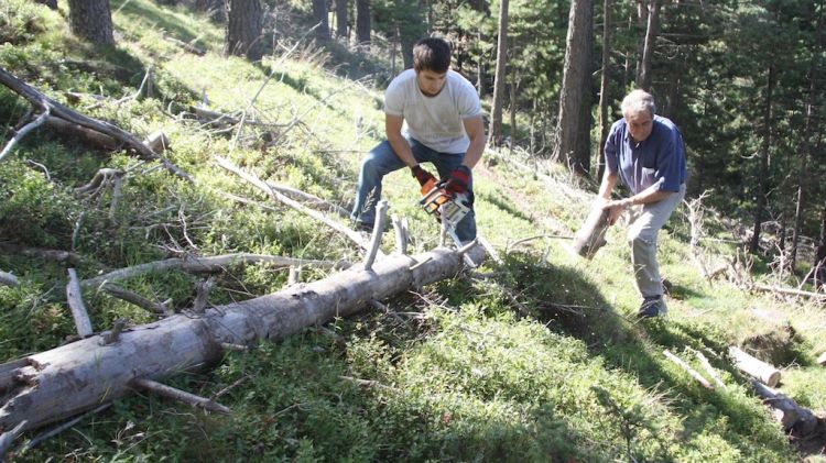 El particular Antonio Serrat (dreta) agafa els troncs d'un arbre caigut a la zona delimitada © ACN