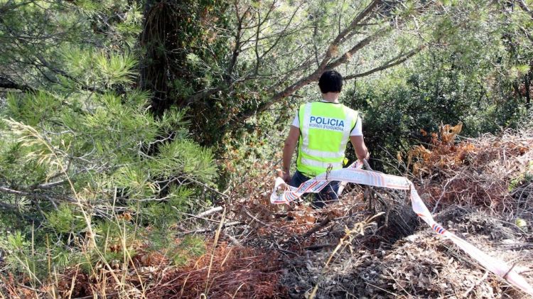 Després de la batuda, la comitiva judicial es desplaçarà fins a la zona per fer les recollida de restes © ACN