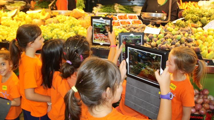 Els alumnes del CEIP Domeny de Girona participen al projecte '+Fruitaverdura 3.0' © ACN