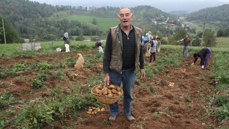 Josep Pastoret, del Mas El Carol, ha aconseguit el certificat per vendre la llavor © ACN
