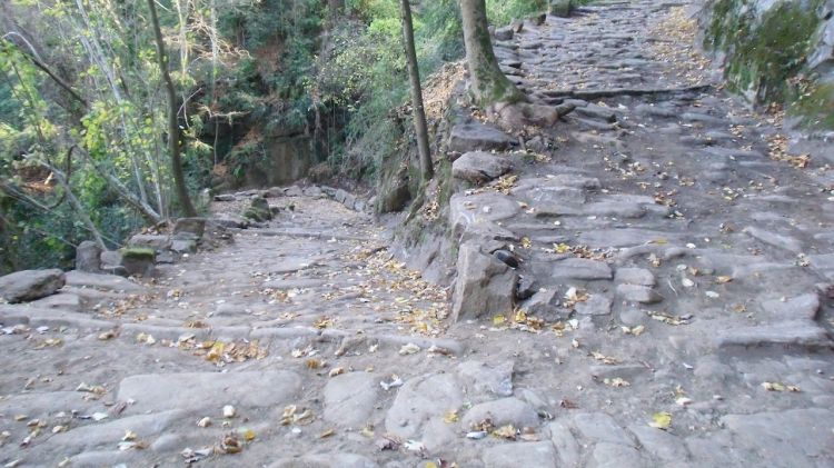 El tram rehabilitat del camí ral que connecta Vic i Olot © ACN