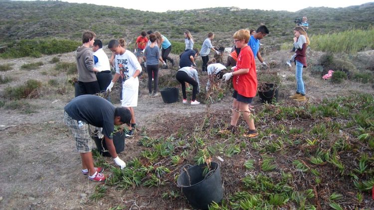 Joves participant en el projecte Carpobrotus © ACN