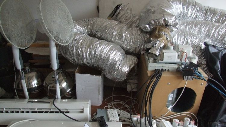 El material decomissat a la casa de la marihuana de Pedret i Marzà