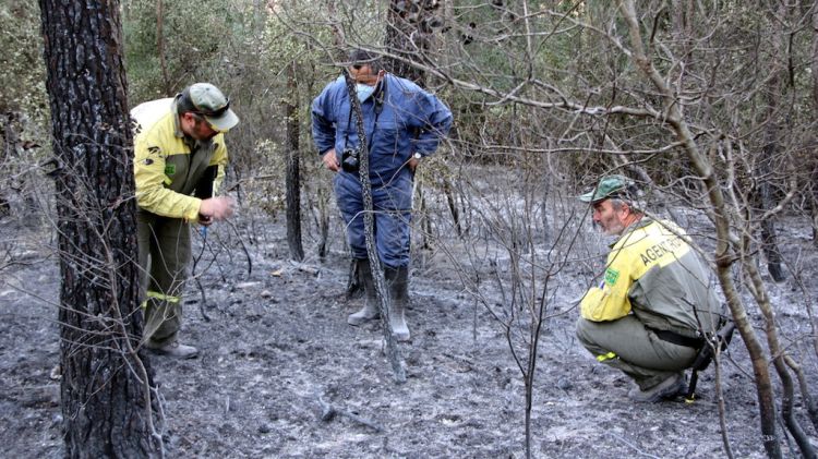 L'incendi es va originar en un camí forestal proper a la carretera que uneix Camallera amb Vilopriu © ACN