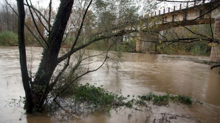 El riu Ter aquesta tarda al seu pas pel terme municipal de Verges, al Baix Empordà © ACN