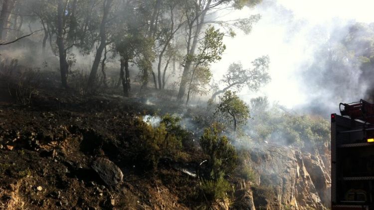 L'incendi cremant una zona boscosa prop del Far de Sant Sebastià © ACN