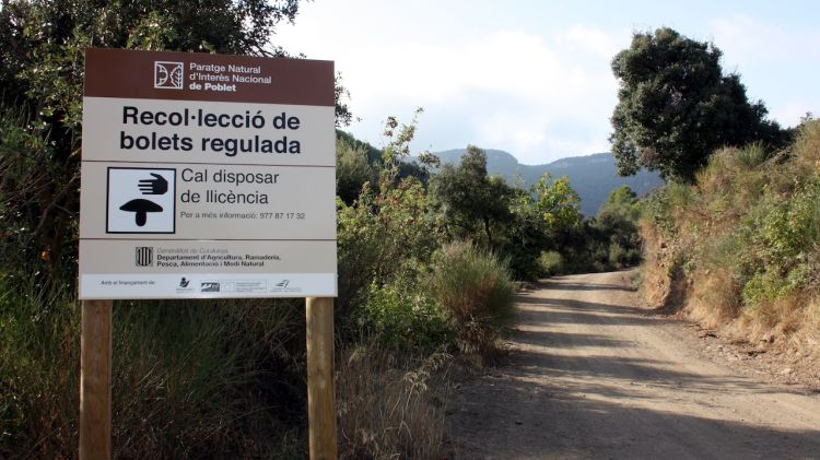 Cartells informant que per anar a buscar bolets a Poblet cal una autorització © ACN