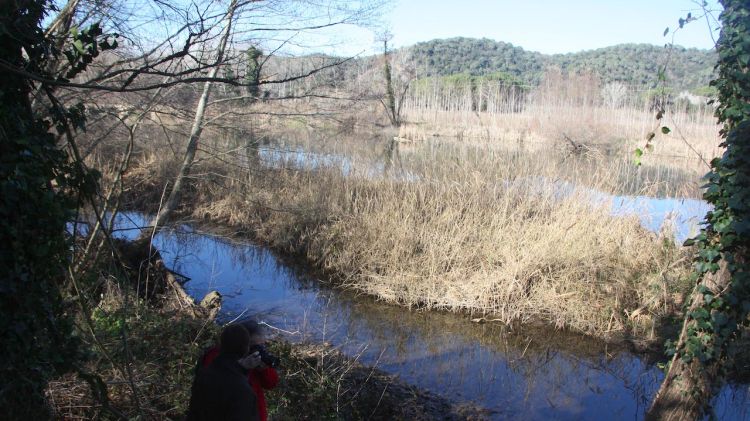 L'Illa de la Pilastra i el riu Ter al seu pas per Bescanó és un dels punts recuperats © ACN