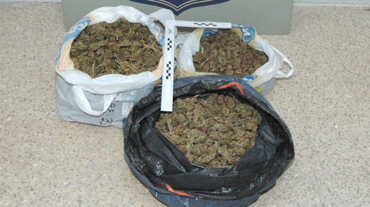 La marihuana comissada pels Mossos d'Esquadra a Figueres © ACN