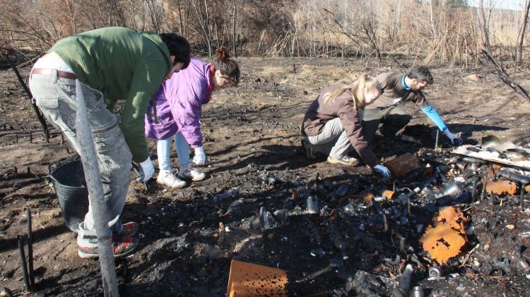 Paral·lelament a la plantada d'arbres, diversos voluntaris han netejar la zona calcinada © ACN