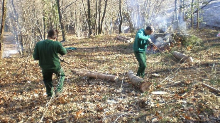 Quinze persones en risc d'exclusió social realitzaran els treballs a l'Alta Garrotxa © ACN
