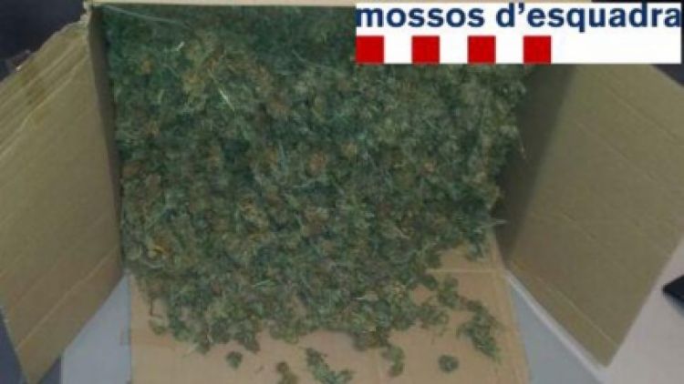 La marihuana comissada, els mòbils i 370 euros - ACN