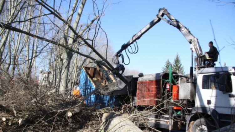 Una de les grues per triturar la poda dels plataners a Olot aquest divendres © ACN