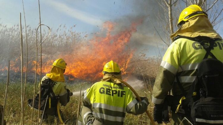 Bombers treballant en la crema controlada © Bombers