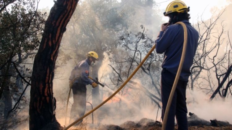 Diversos membres dels Bombers treballant en el foc ahir al vespre © ACN