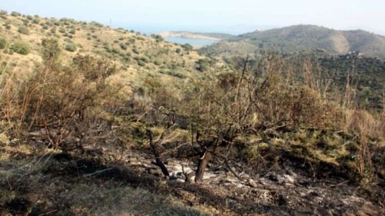 Indret on fou trobat el cos calcinat de la víctima (arxiu) © ACN