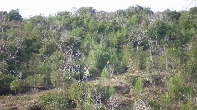 Operaris treballant a la zona de baixa combustió