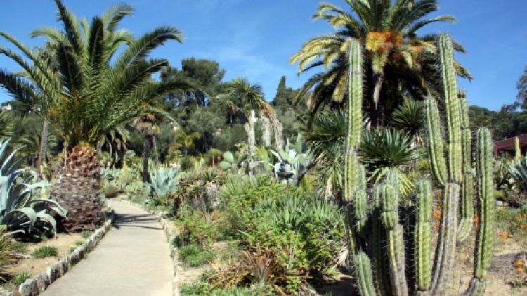 El paratge inclou un jardí botànic de pagament © ACN