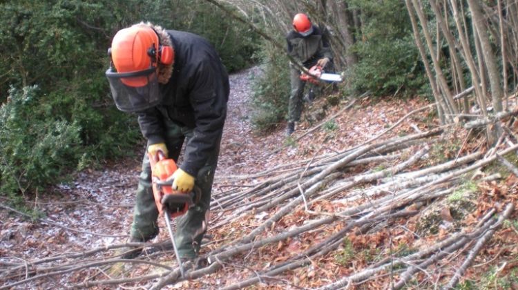 Operaris de la brigada del consorci desenvolupant tasques de neteja de sotabosc © AG