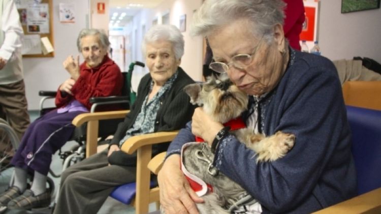 Una pacient de l'Hospital de Campdevànol amb un dels gossos © ACN