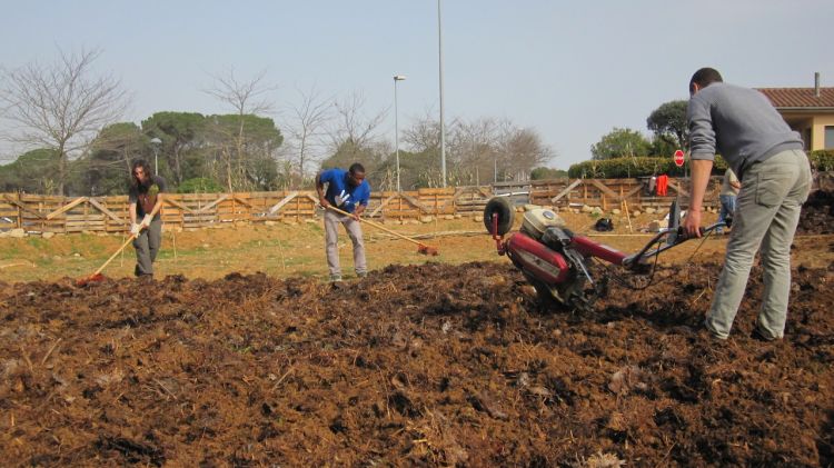 La producció de l'hort anirà a parar a la Sopa