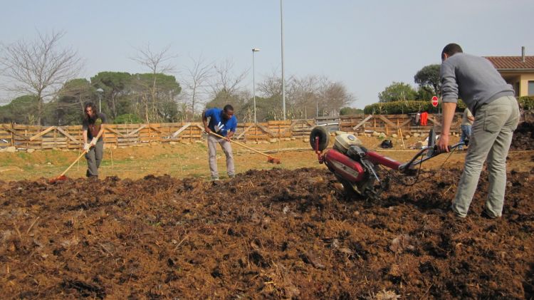 La producció de l'hort anirà a parar a la Sopa