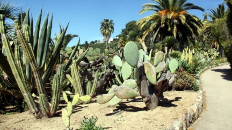 El paratge inclou un jardí botànic de pagament que és una de les poques zones accessibles de l'espai protegit ©ACN