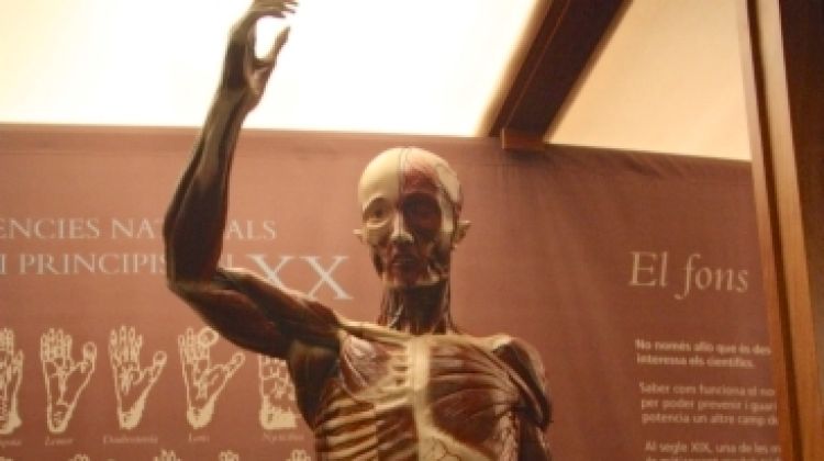 L'home anatòmic després de ser restaurat © ACN