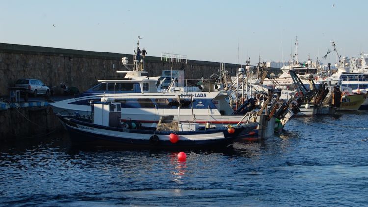 Vaixells al port de Blanes © ACN