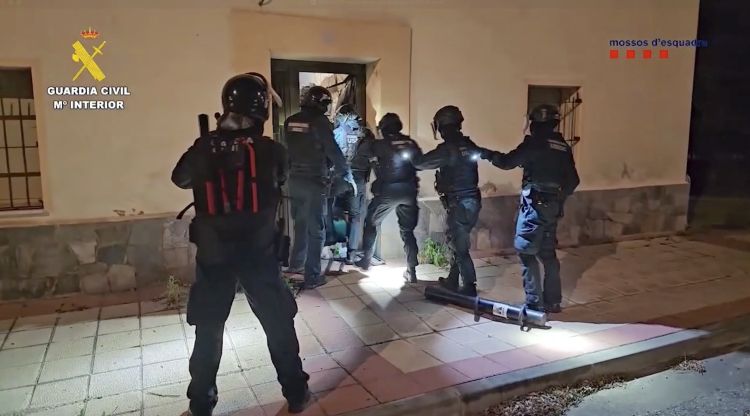 La policia desmantella una xarxa de cultiu de cànnabis amb ramificacions a Girona