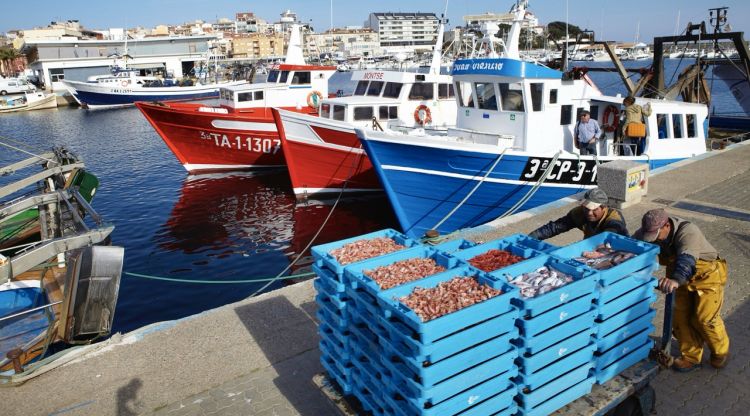Els pescadors de la Costa Brava redueixen sortides pel fort augment del preu del gasoil