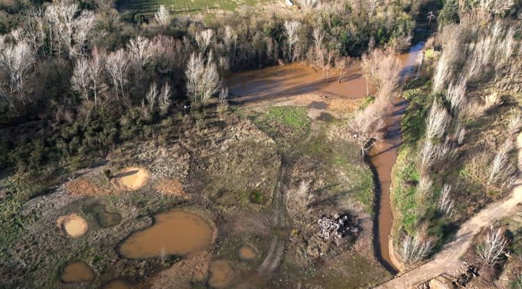 Restauren unes zones humides al costat del Ter a Girona per impulsar la reproducció d'amfibis i ocells