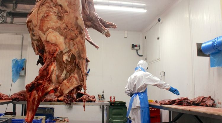 Els majoristes de senglar veuen la situació ''insostenible'' amb tones de carn sense sortida