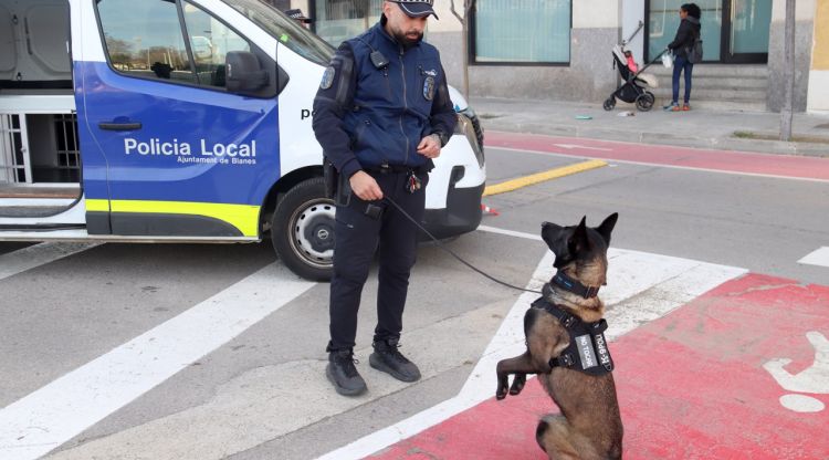 La unitat canina de la Policia Local de Blanes posa gairebé 200 denúncies en mig any