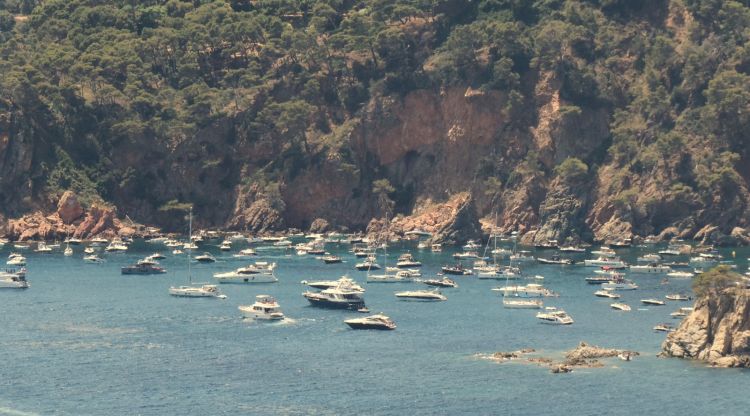 SOS Costa Brava celebra el decret de protecció de la posidònia però vol mesures per fer-lo efectiu