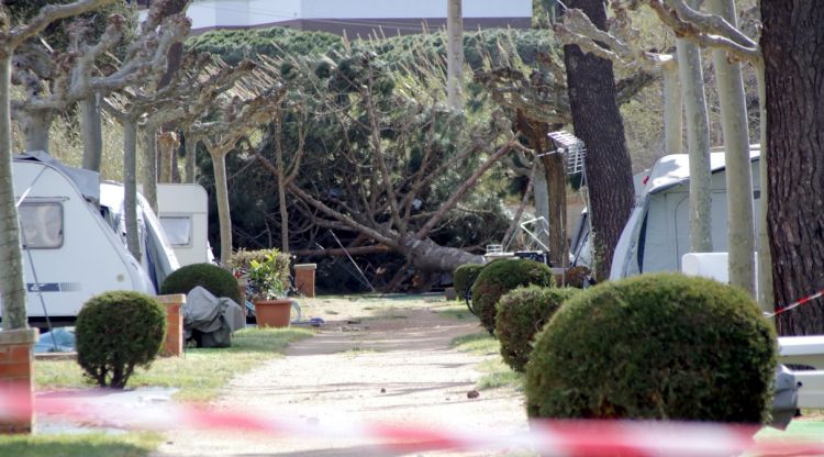 Ferit lleu un home per la caiguda d'una branca en un càmping de Platja d'Aro