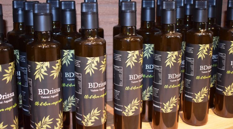 La Fundació Drissa tanca el 2025 amb un increment del 38% en la demanda de serveis d'inserció laboral