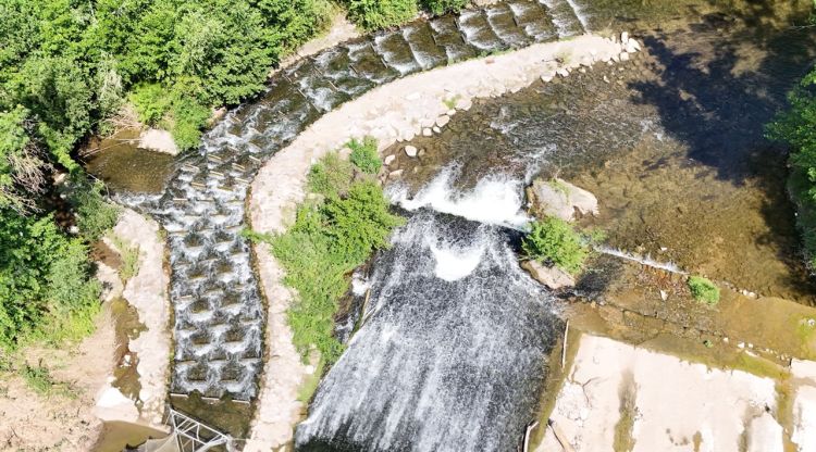 El Consorci del Ter millora la rampa de peixos de l'illa de la Pilastra i restaura els hàbitats de ribera