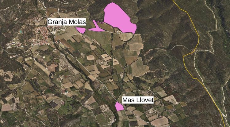 La IAEDEN porta l'ampliació d'una granja de porcs de Cantallops als tribunals