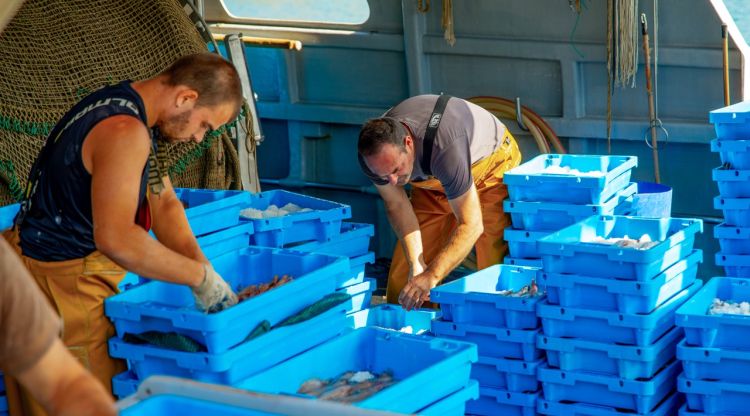 Els pescadors del Cap de Creus porten el peix de proximitat al Fòrum Gastronòmic de Figueres