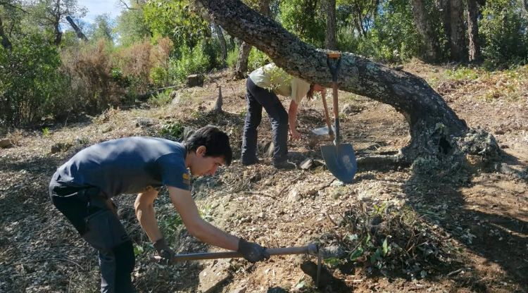 Cassà de la Selva reprèn les excavacions al jaciment iber de Puig Castellar