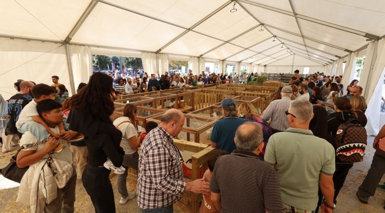La Fira de Sant Lluc d'Olot reubica activitats i cancel·la un taller per la pluja