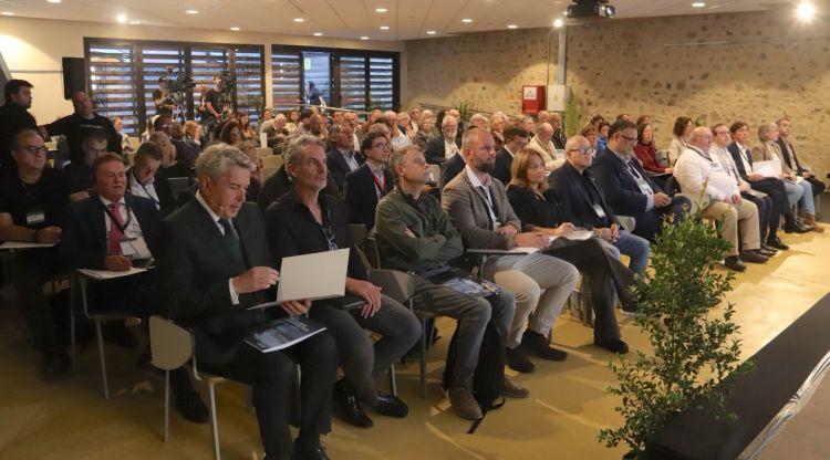 Aposten per les dunes i la posidònia com a barreres naturals contra els temporals